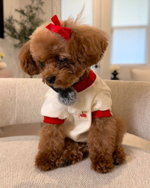 Hot Diggity Dachshund Ringer Tee