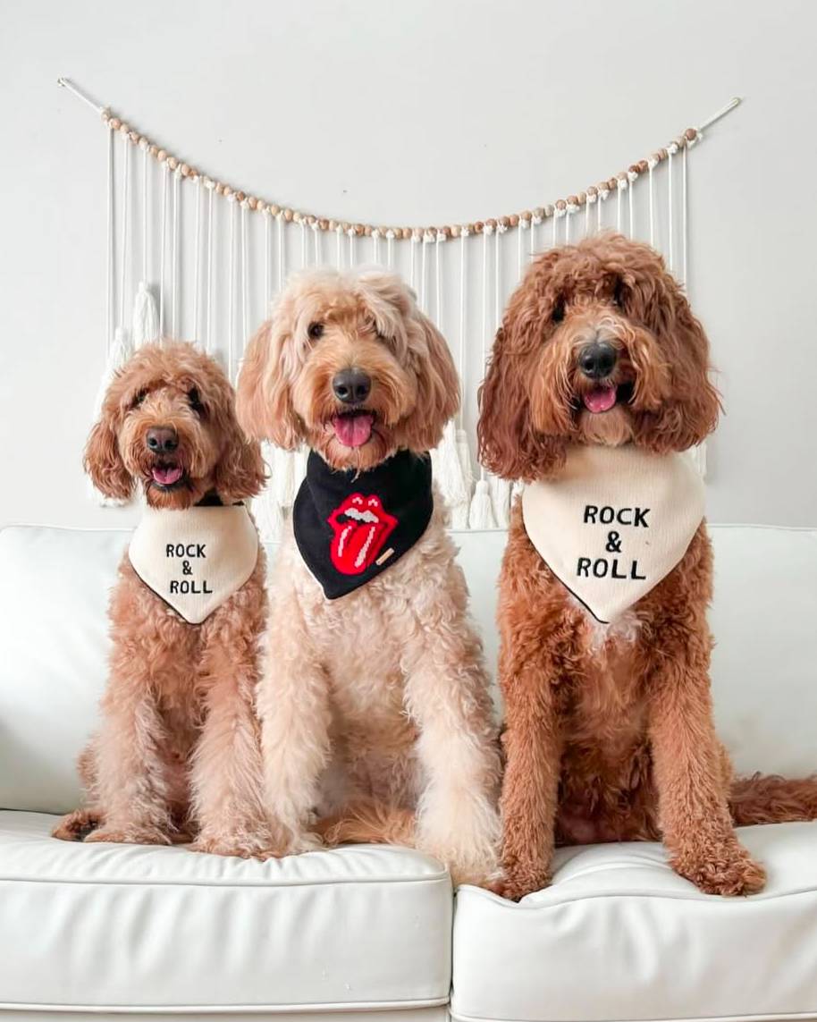 Reversible Rock & Roll Dog Bandana – FURB