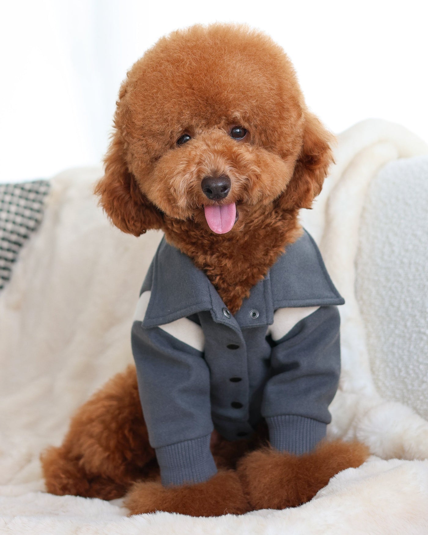 Pupper Classmen Gray Wool Varsity Jacket