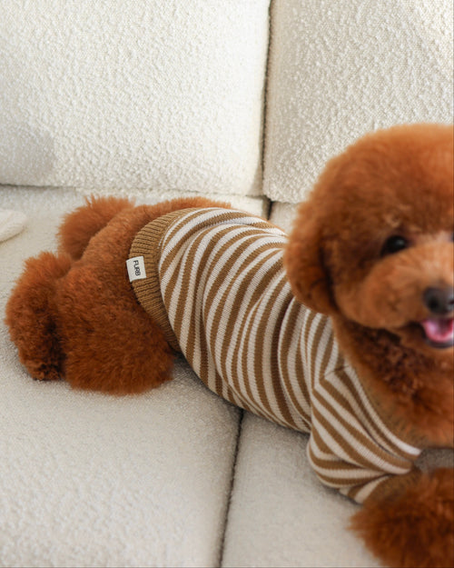 Like A Bandit Nutmeg Striped Dog Sweater
