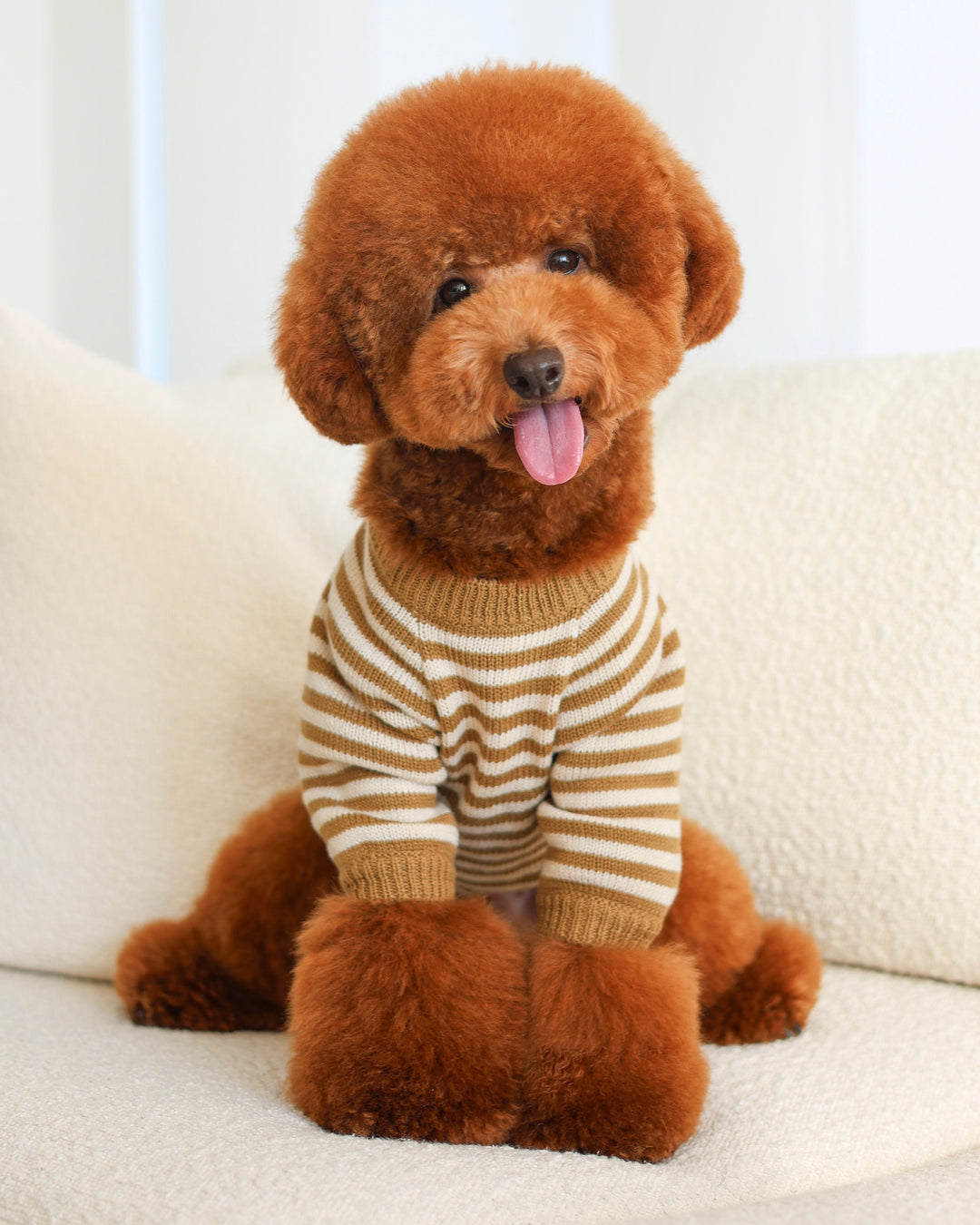 Affordable Dog Apparel | Nutmeg & Cream Striped Dog Sweater – FURB