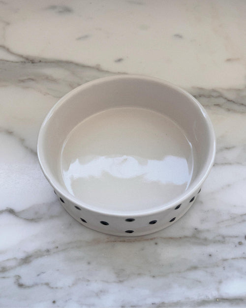 Connect the Dots Polka Dot Dog Bowl 