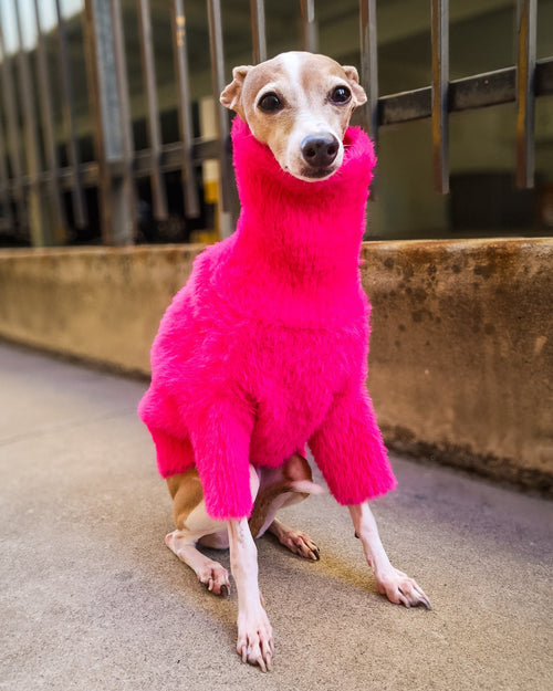 Bobbi Hot Pink Eyelash Knit Dog Sweater