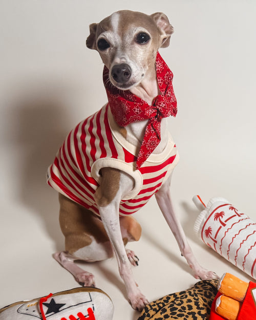 Pup Rally Red + Ivory Striped Dog Tank