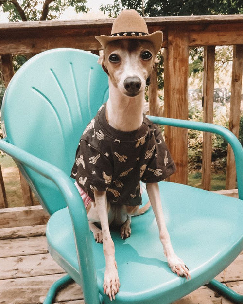 Casual Cutie Rodeo Dog T-Shirt