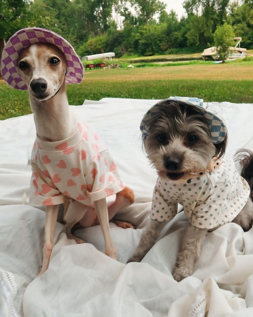 Lovey Dovey Heart Print Dog T-Shirt