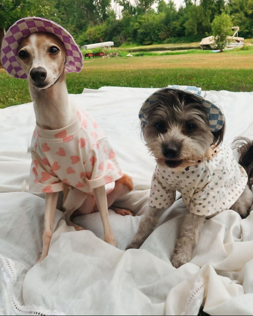 Speckled Sweetie Polka Dot Dog T-Shirt