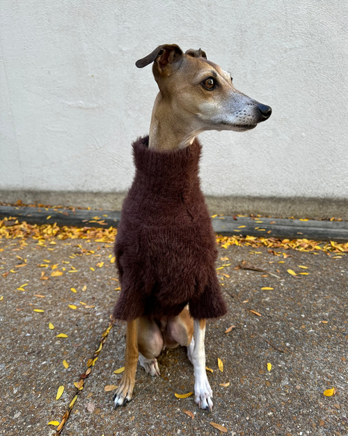 Bobbi Chocolate Eyelash Knit Dog Sweater