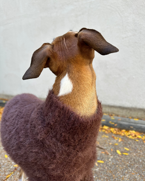 Bobbi Chocolate Eyelash Knit Dog Sweater