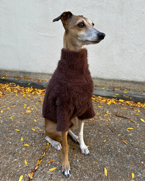 Bobbi Chocolate Eyelash Knit Dog Sweater
