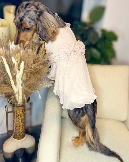 Love Story Petal Pink Pleated Chiffon Dress