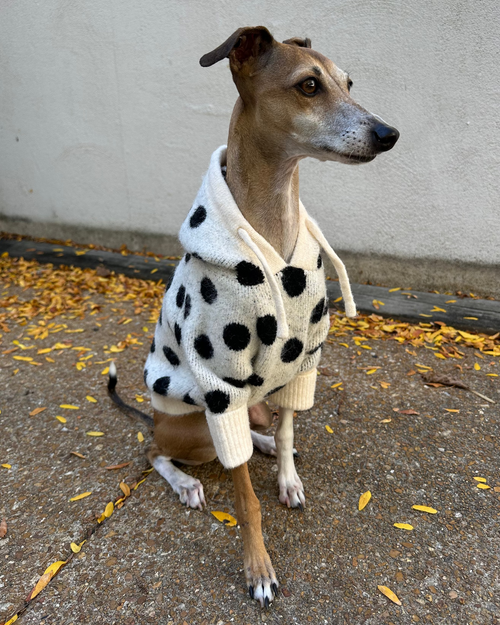 Venice Ivory + Black Polka Dot Dog Hoodie