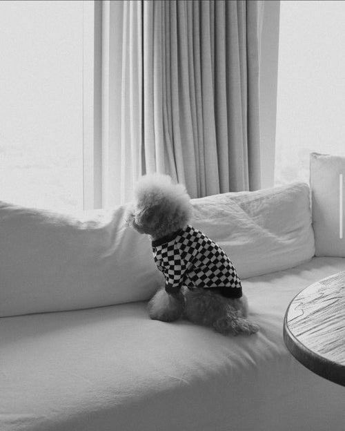 Arlo Black Check Sweater Product Image Detail. french bulldog sweater women 