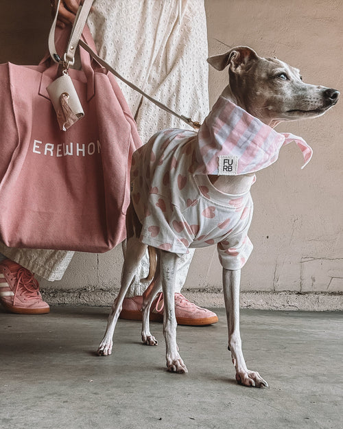 Fashionable pink dog shirt with playful heart print for pets. Updated May 2026.