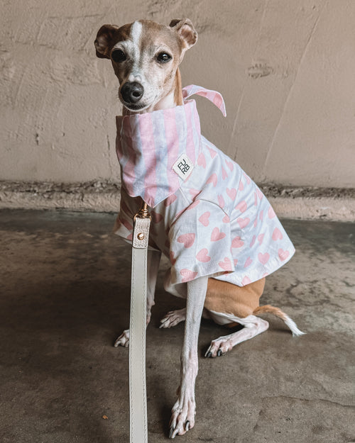 Stylish pet apparel with pink heart print for cute dog outfits. Updated May 2026.