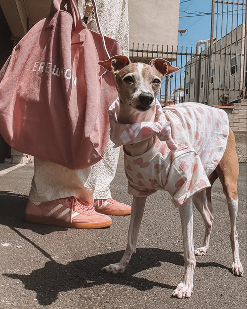 Cute heart pattern dog shirt perfect for Valentine&