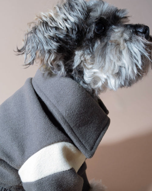 Warm and stylish gray wool jacket for dogs, perfect for cold weather outings.