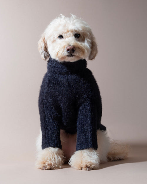 Bobbi Black Eyelash Knit Dog Sweater, perfect for stylish pups on chilly days.