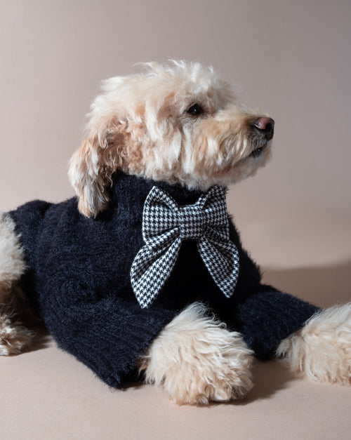 Fashionable houndstooth lady dog bow, designed for chic dogs who love a sophisticated accessory.