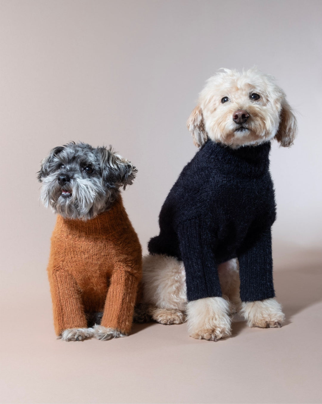Black Eyelash Knit | Adorable, Affordable Dog Sweater – FURB