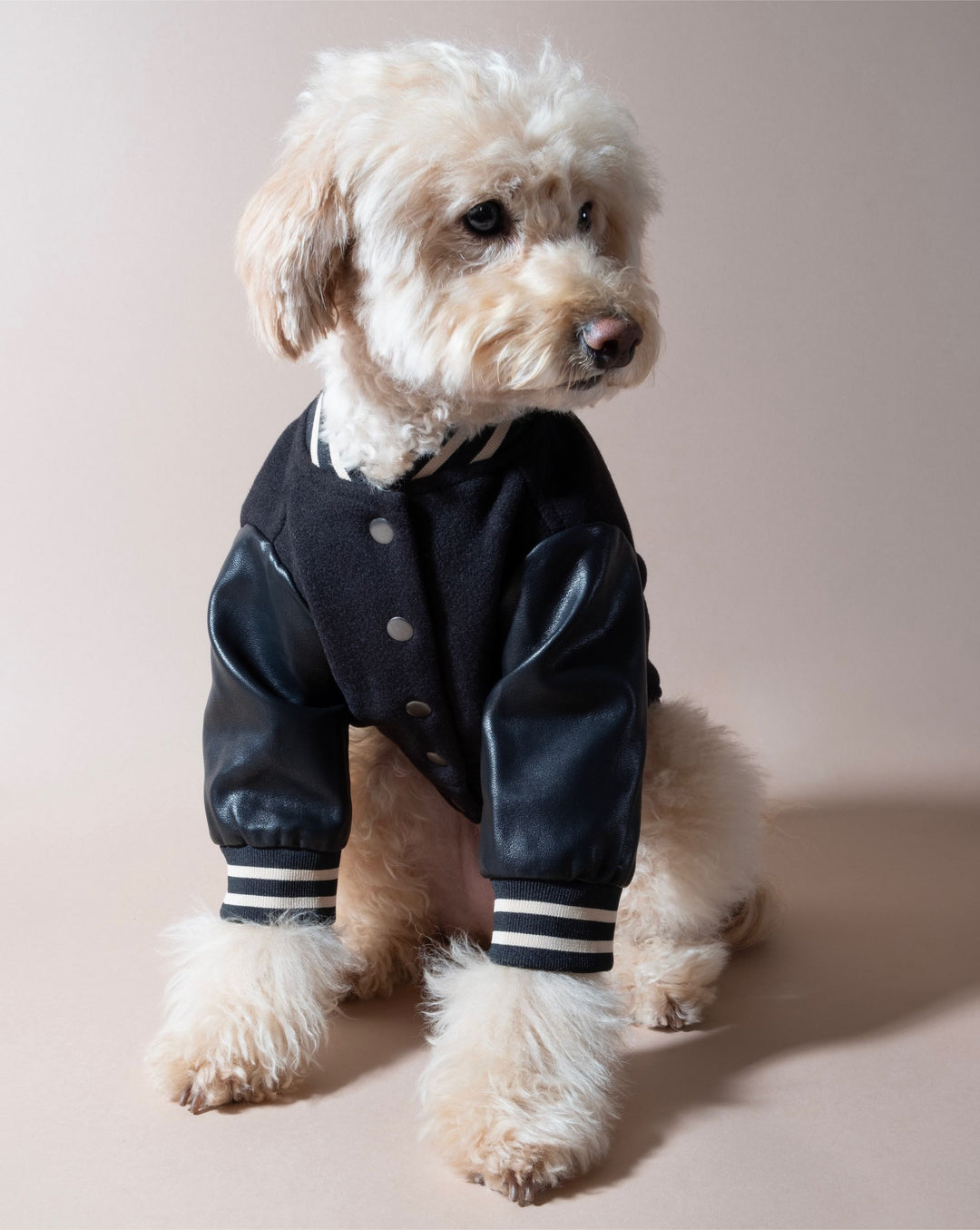 kaval Dog year blouson 25ss Kaval - MAKIE