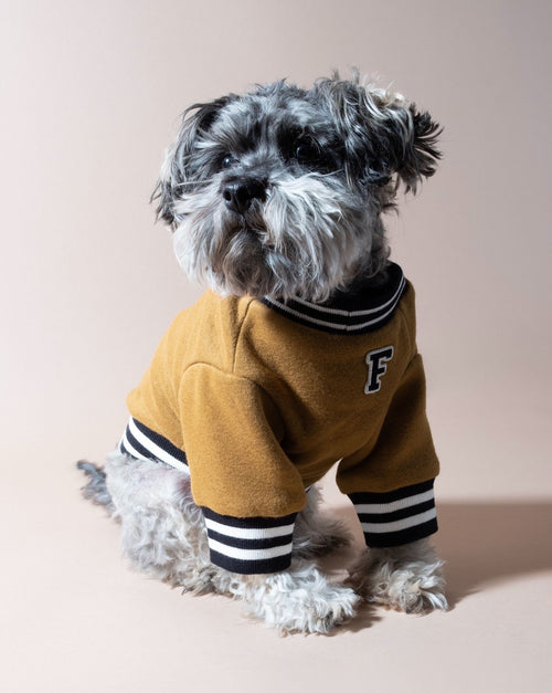 Stylish brown dog sweater with varsity letters, ideal for small to medium breeds like Pugs and Beagles