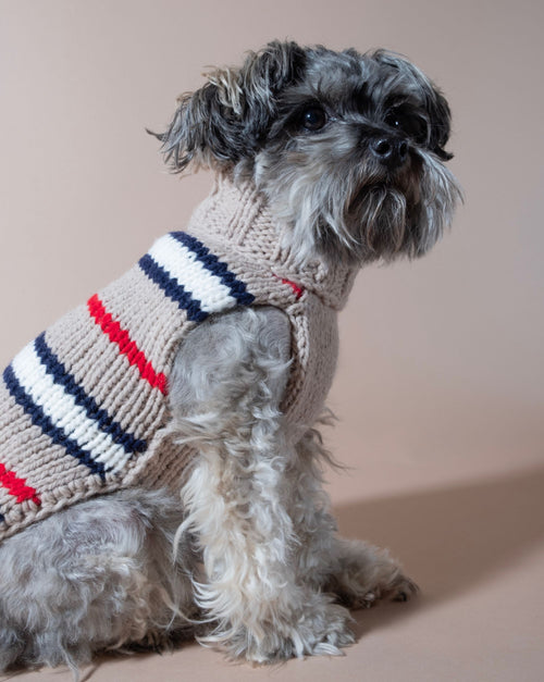Warm and stylish tan alpaca sweater for dogs, perfect for fall and winter.