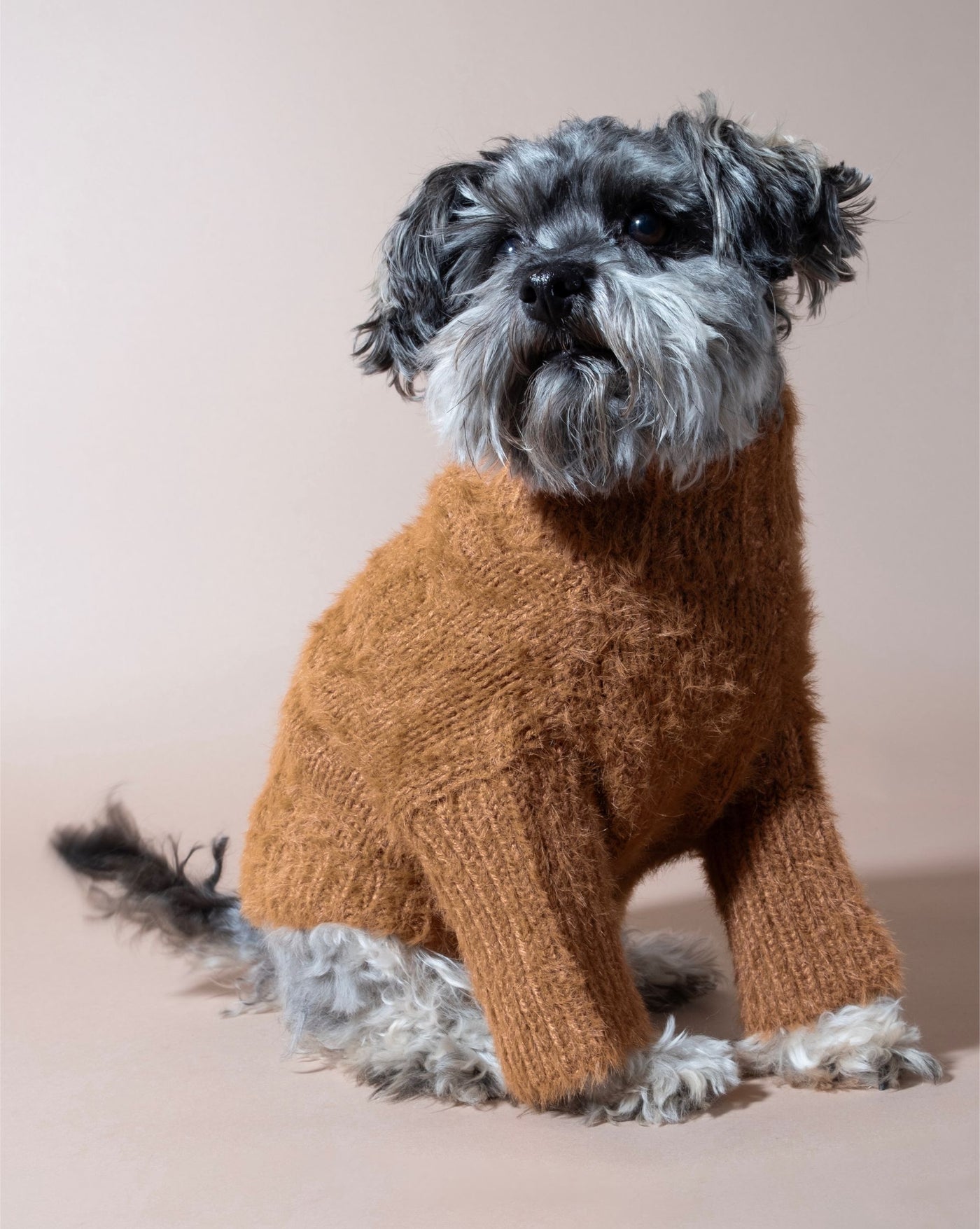 Cozy brown eyelash knit sweater for dogs, great for chilly outings and comfort.