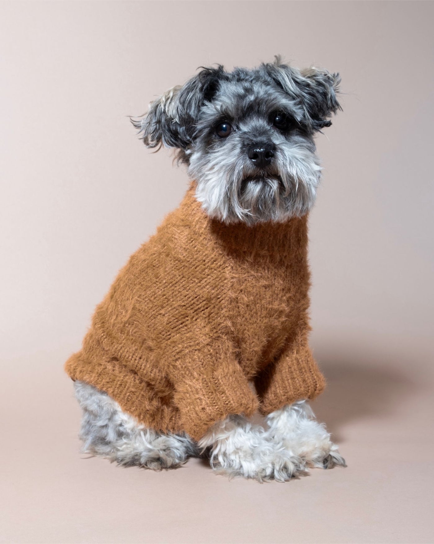 Bobbi Brown Eyelash Knit Dog Sweater, cozy and stylish for your dog in chilly weather.