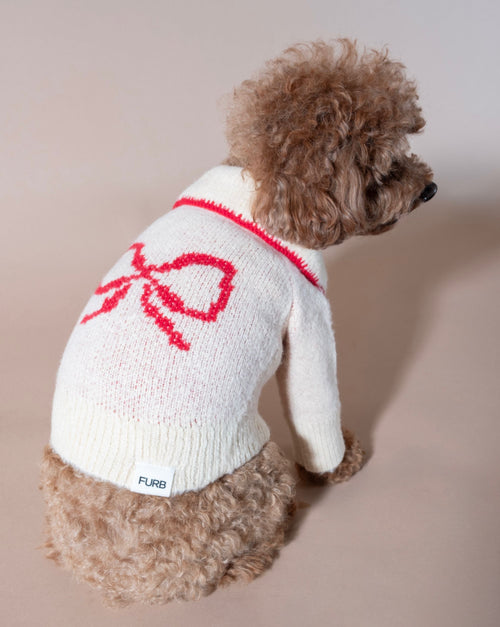 Stylish ivory dog sweater featuring a chic bow, perfect for festive events.