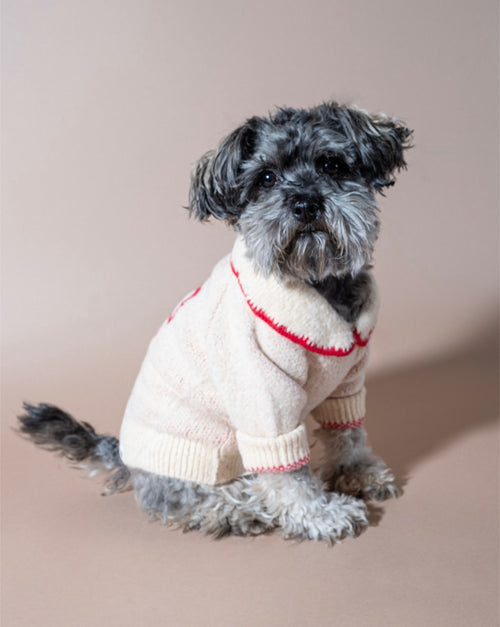 Ivory dog sweater with bow detail, designed for fashion-forward pups.