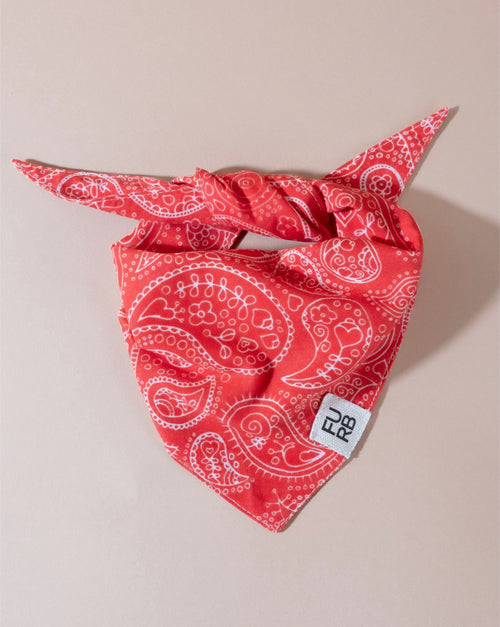 Classic red print dog bandana for a bold, stylish look.