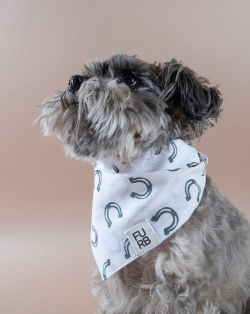Horseshoe print dog bandana, perfect for adding a touch of charm to your dog’s wardrobe.