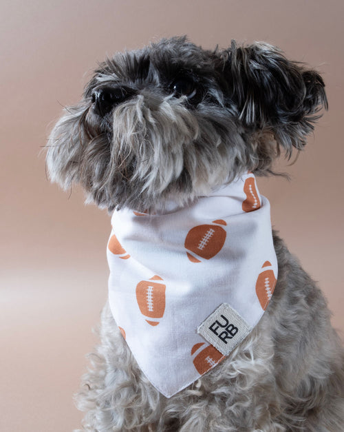 Little Champion football bandana for dogs, ideal for showing team spirit.