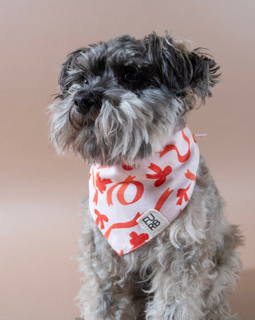 Holiday bow print dog bandana, perfect for festive occasions.