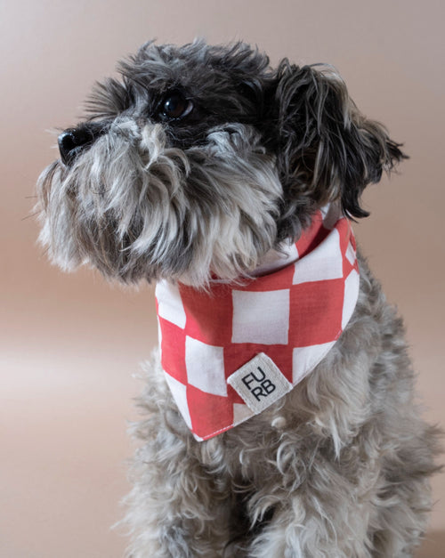 Stylish red checkered dog bandana, perfect for any occasion.