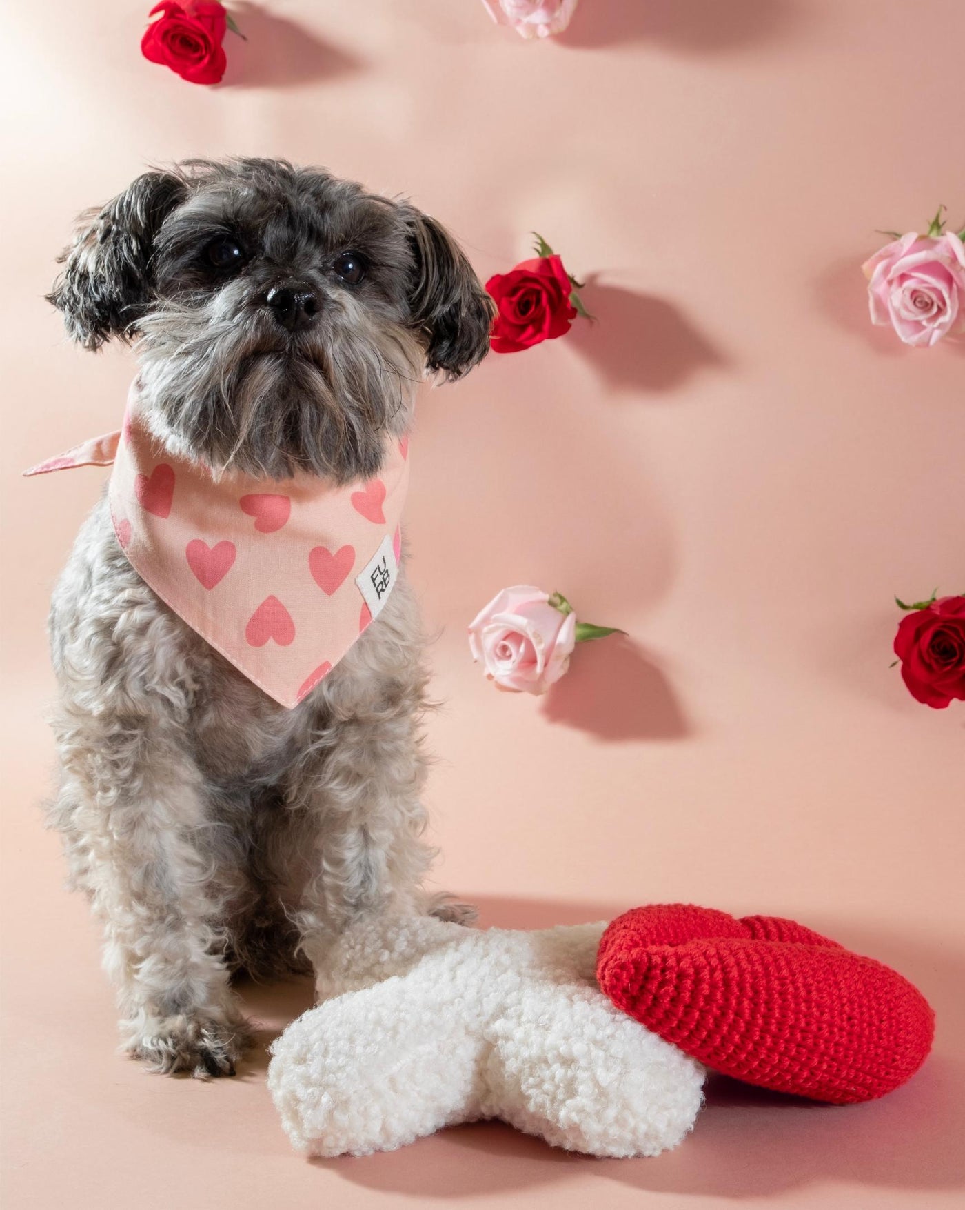 Adorable red lips dog toy, great for playful fetch sessions with small breeds.