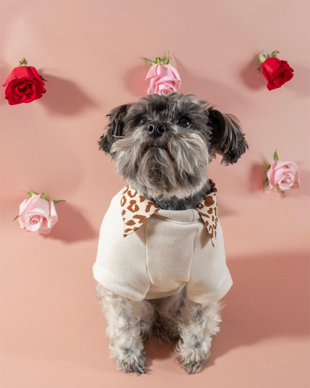 LOVER Cute Graphic Dog Sweatshirt | Oat Collective @ FURB
