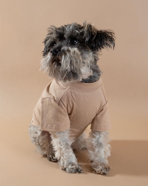 Tan dog t-shirt with a relaxed fit, perfect for sunny days and outdoor fun with your dog.
