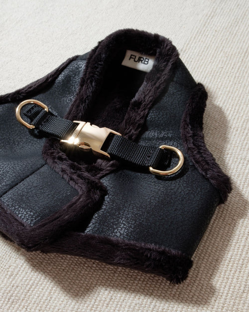 Black Coated Fabric dog Harness image