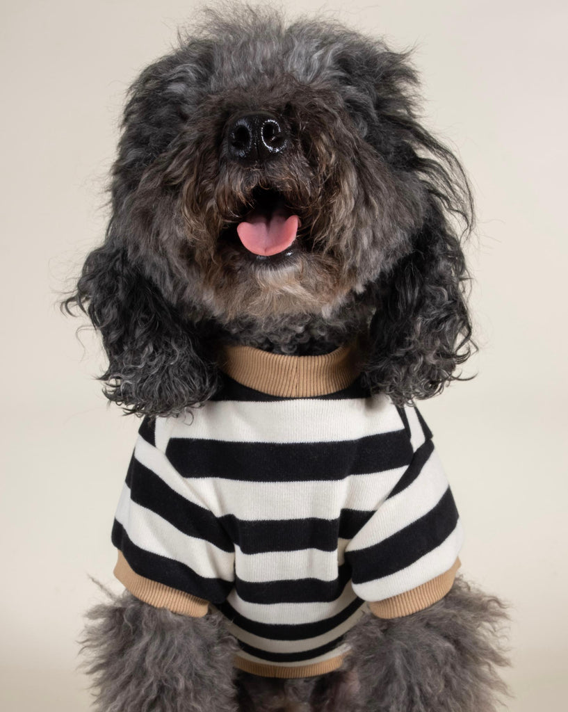 Cooper + White Striped Dog Sweatshirt
