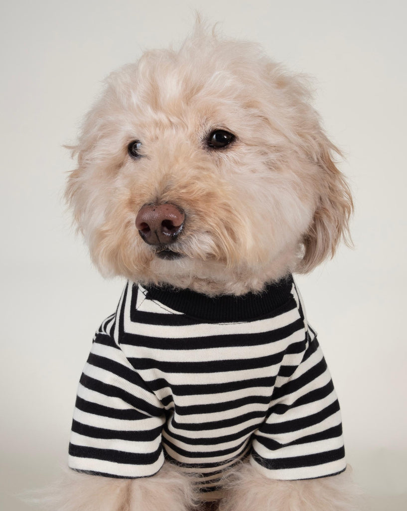 Playful Pooch + Ivory Striped Dog T Shirt
