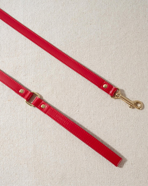 red leather dog leash with gold accents