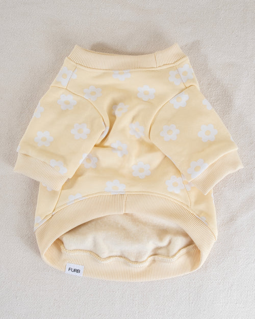 Floral dog sweatshirt, cozy and cute, perfect for your pup during colder seasons