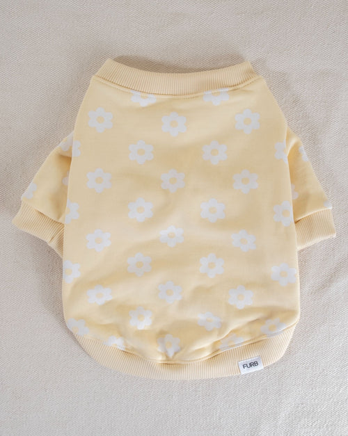 Dog sweatshirt with a floral pattern, perfect for cooler weather and stylish dogs