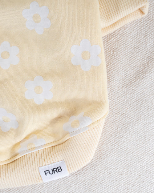 Stylish floral sweatshirt for dogs, combining warmth and floral flair for your pet&