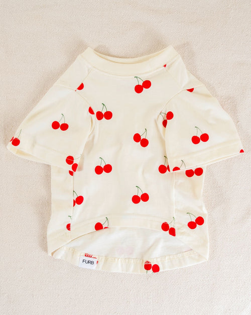 Small dog t-shirt featuring cute cherry design, a perfect outfit for your pup&
