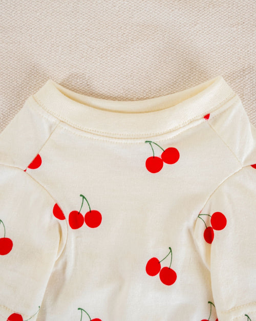 Stylish cherry design dog t-shirt, perfect for sunny days and small dogs like Schnauzers