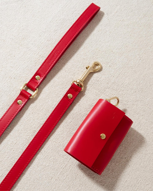 Matching red leash and collar walk kit with polished gold hardware, great for Chihuahuas and Papillons
