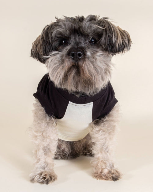 Muscle Dog T-shirt with a sleek fit and bold design, made for athletic dogs who love to look good and stay active.